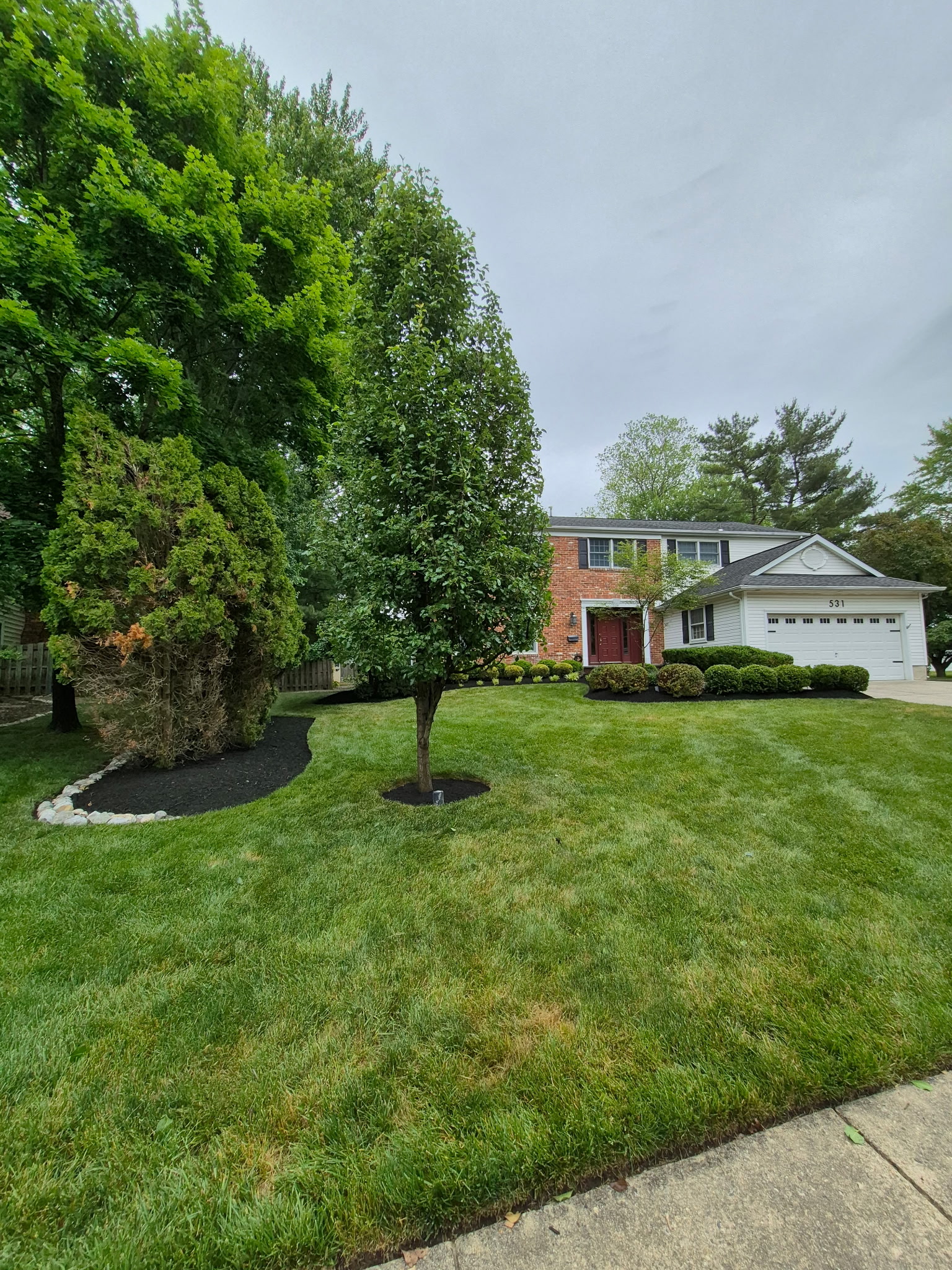 Wide manicured front lawn with trimmed shrubs