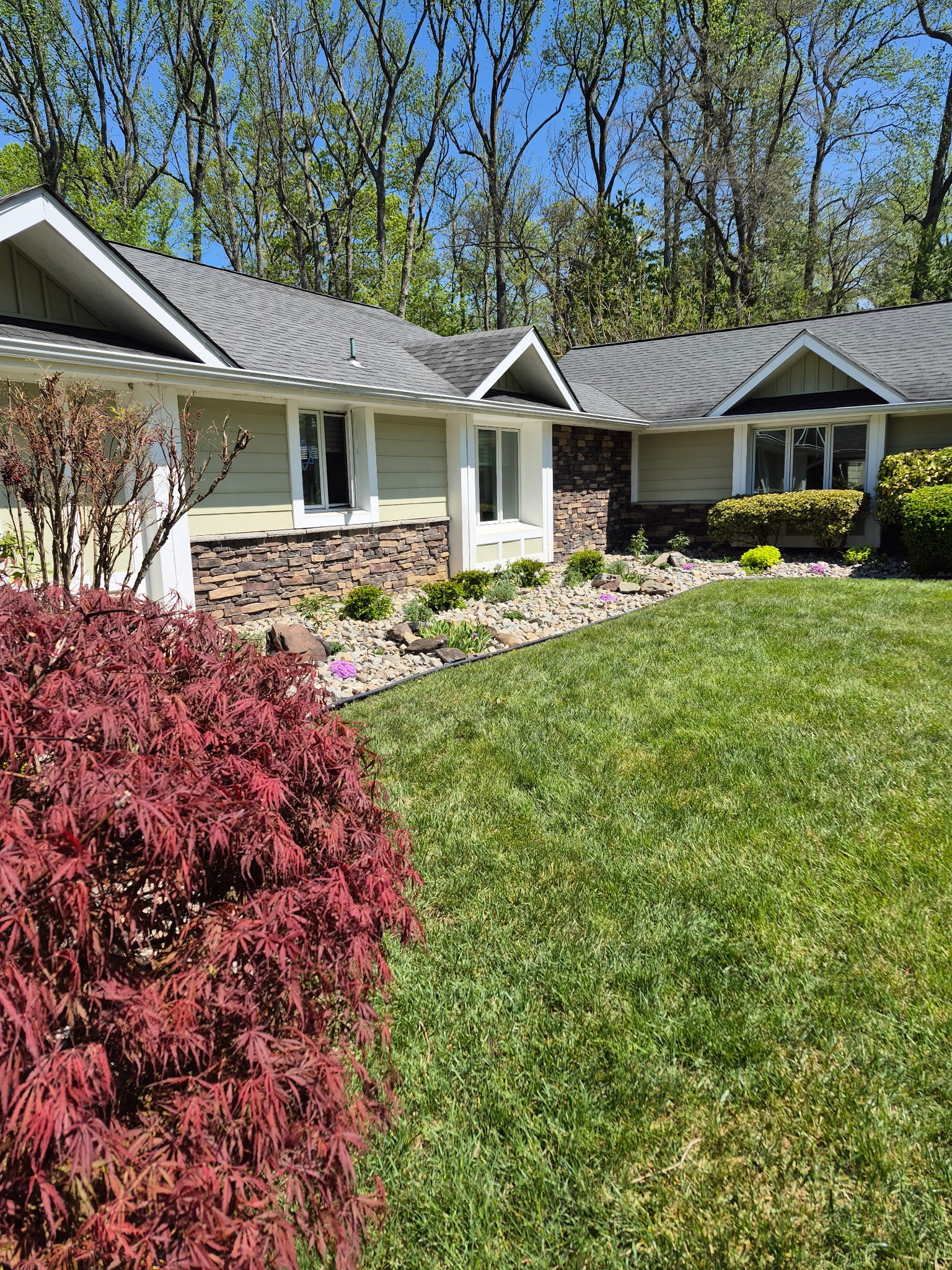Stone landscape with Japanese maple